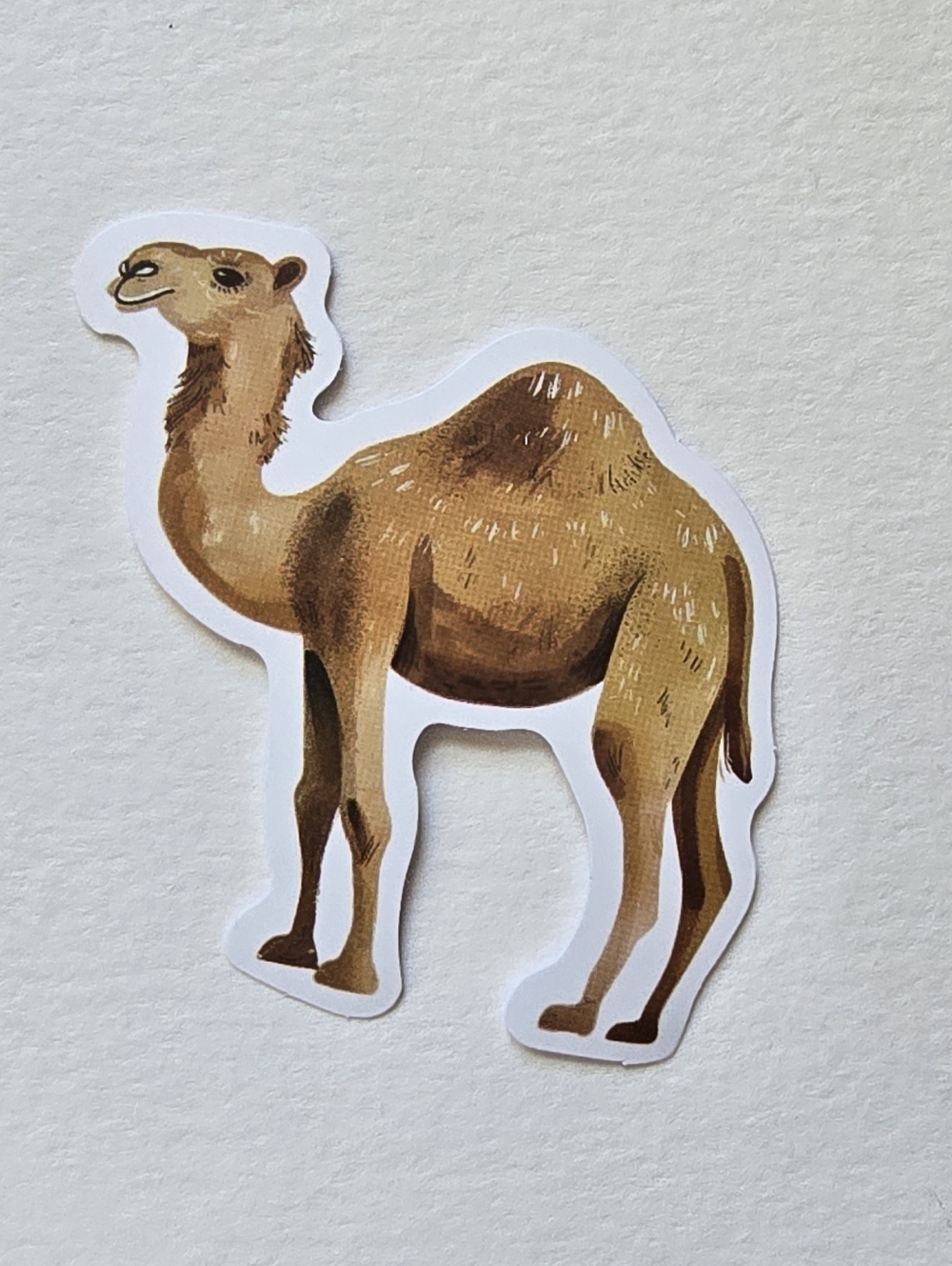 10/$10 Camel Sticker